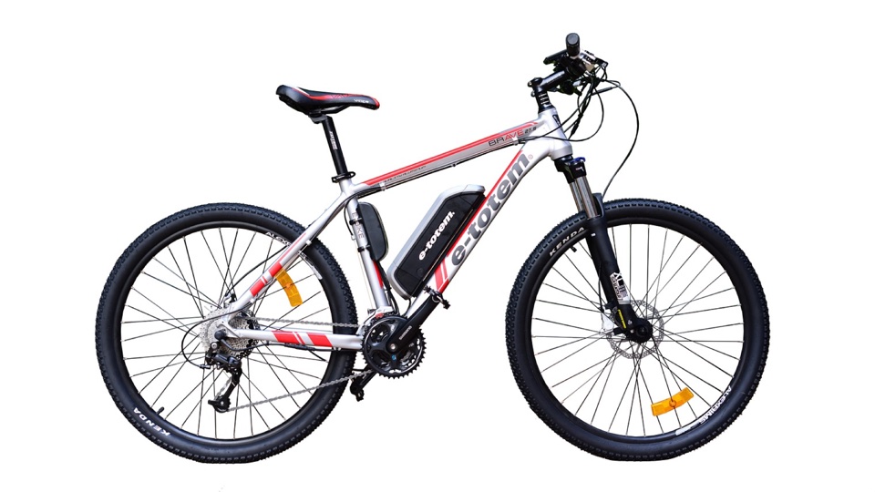 Igo Electric Mountain Bike